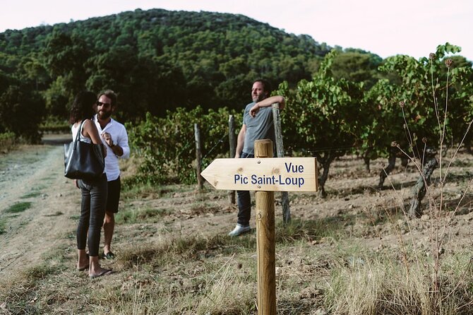 Bertrand Bosc wine and food tour in Pic St Loup - What the $95.58 price really covers
