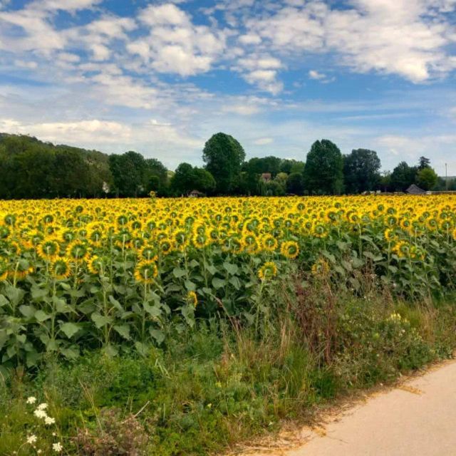 Bike tour from Vernon to Giverny with local guide - Cost, timing, and who gets the best value
