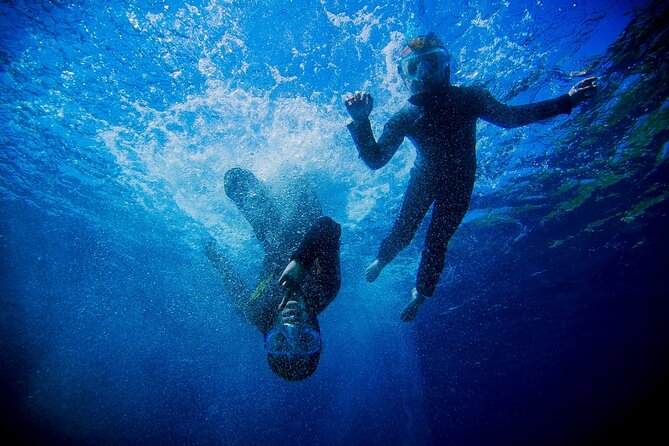 Boat trip and snorkeling in Villefranche - sur - Mer - The guides make the difference for beginners
