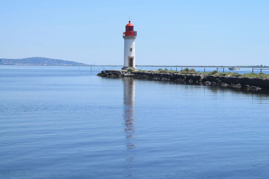 Boat trip in the canals is on the Thau pond - Why this Sète boat trip is more than a canal cruise