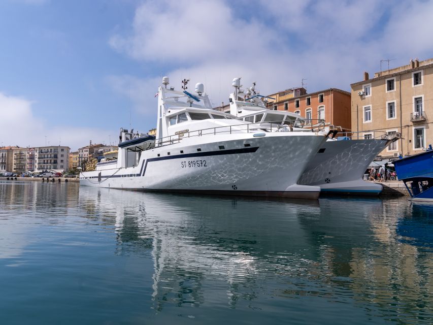 Boat walk in Sete on the singular island 1 hour - Boarding the Narwhal SP 900