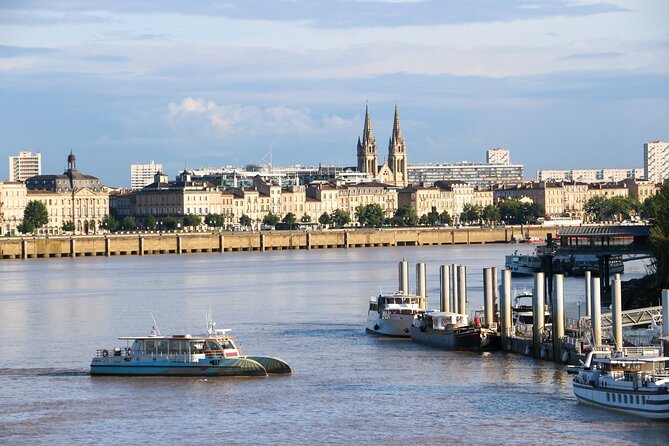 Bordeaux City - Private Guided Walking Tour with Local Sophia - Price, private access, and the question of value