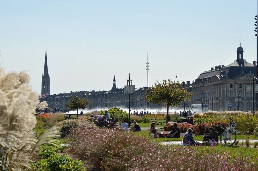Bordeaux: Exclusive Private Guided Walking Tour - A useful introduction to Bordeaux wine
