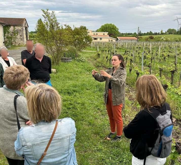 Bordeaux: Explore an Organic Family Vineyard with Tasting - Inside the cellar, from fermentation to bottle