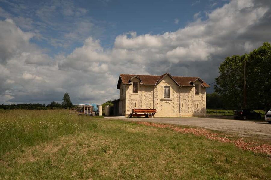 Bordeaux: Explore an Organic Family Vineyard with Tasting - How much value do you get for $21?