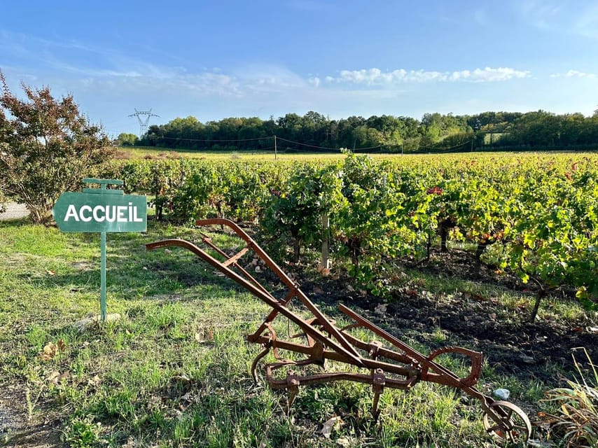 Bordeaux: Explore an Organic Family Vineyard with Tasting - Who will enjoy this vineyard visit most?