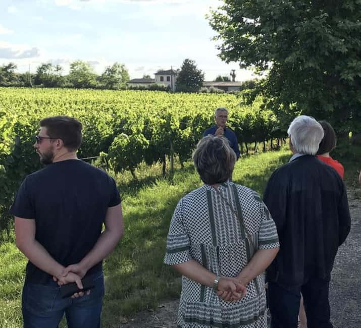 Bordeaux: Explore an Organic Family Vineyard with Tasting - Starting with Bordeaux’s 65 appellations