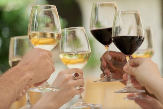 Bordeaux : Full Day Wine Tastings & Gourmet Lunch - Tasting 10 to 12 wines without needing a wine degree