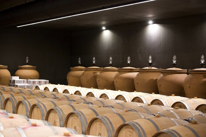 Bordeaux : Full Day Wine Tastings & Gourmet Lunch - A traditional three-course lunch in the middle of the day