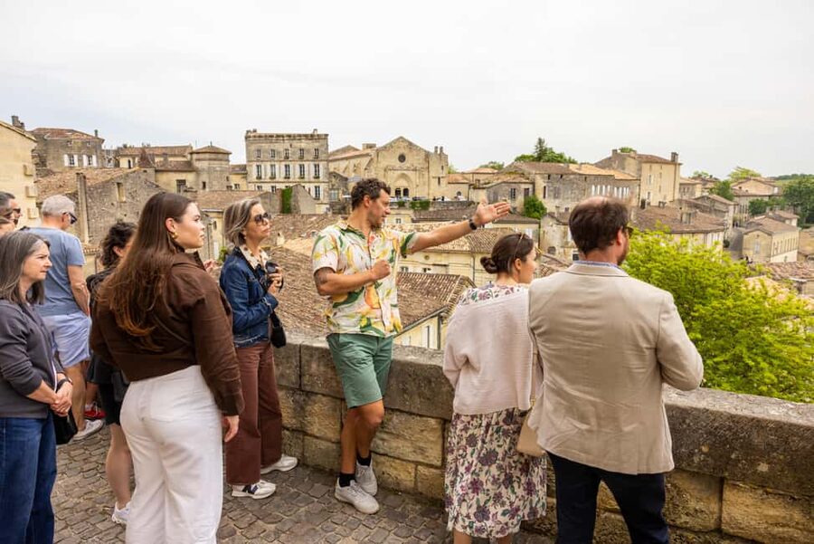 Bordeaux Full Day Wine Tour - 3 Wineries & Picnic Lunch - Picnic lunch at a family-owned vineyard