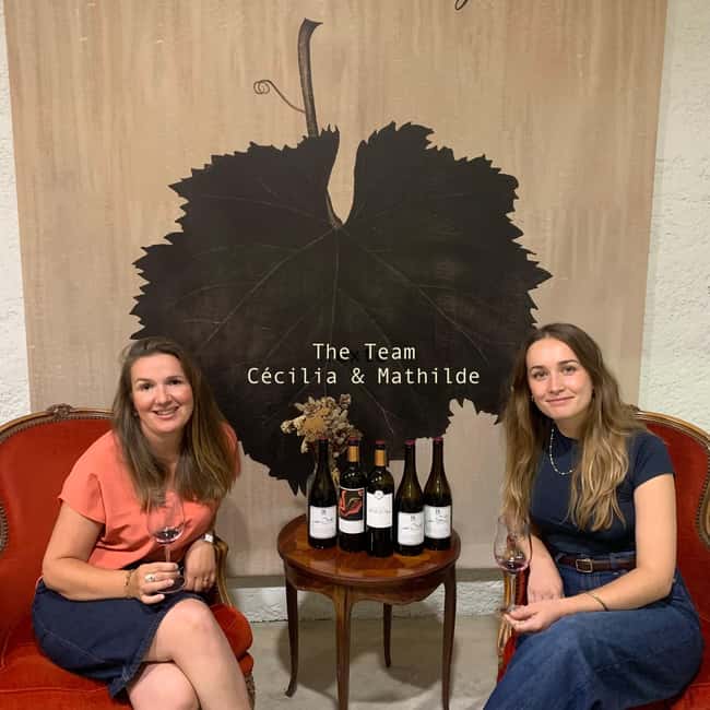 Bordeaux: Guided Bordeaux Wine Tasting Class with 6 Wines - Who should book this Bordeaux tasting class?
