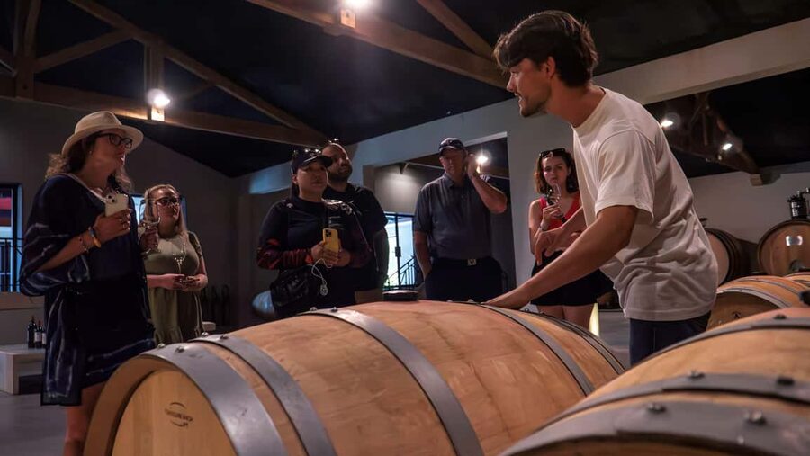 Bordeaux: Half-Day Margaux Tour with Wine Tastings - The drive from Bordeaux to the Médoc