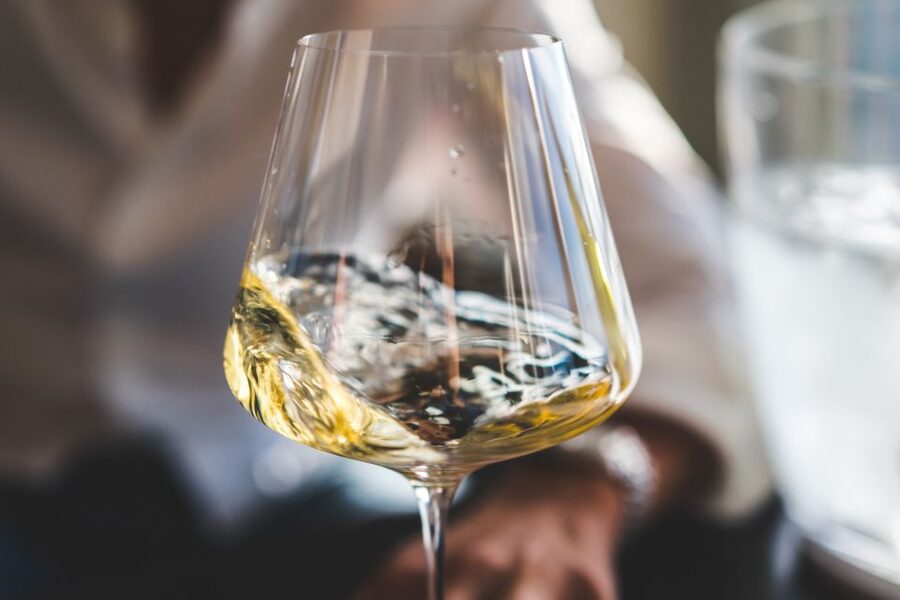 Bordeaux: Introduction to Bordeaux Wines Tasting Workshop - Starting with Terroir, Grapes, and Appellations