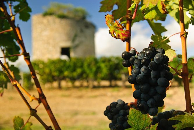 Bordeaux Médoc Region Private Wine Lovers Tour with Chateau Visits & Tastings - Leaving Bordeaux at 9 a.m.
