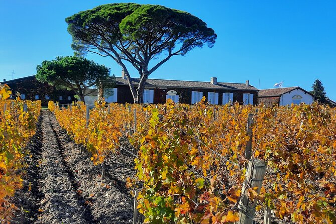 Bordeaux Médoc Region Private Wine Lovers Tour with Chateau Visits & Tastings - Three château visits and guided tastings