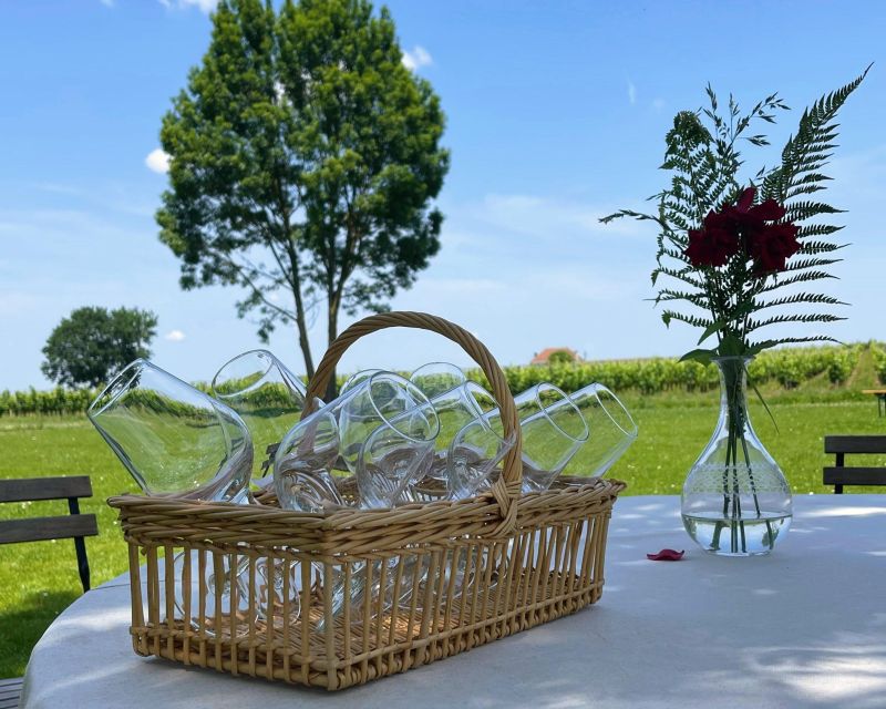 Bordeaux: Médoc & St-Emilion Wine 3 châteaux with lunch - What the van ride and group size mean