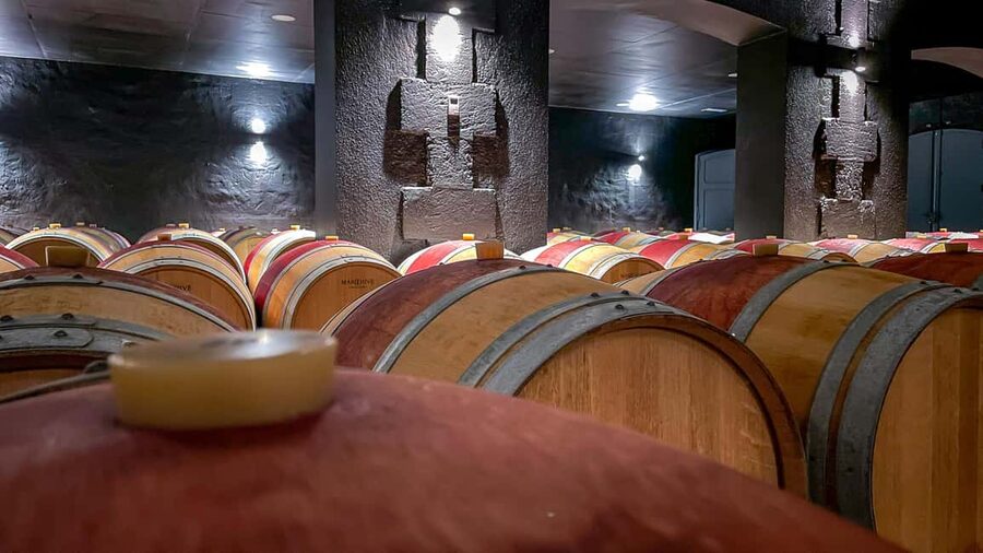 Bordeaux: Saint-Emilion and Medoc Full-Day Wine Experience - Key points at a glance