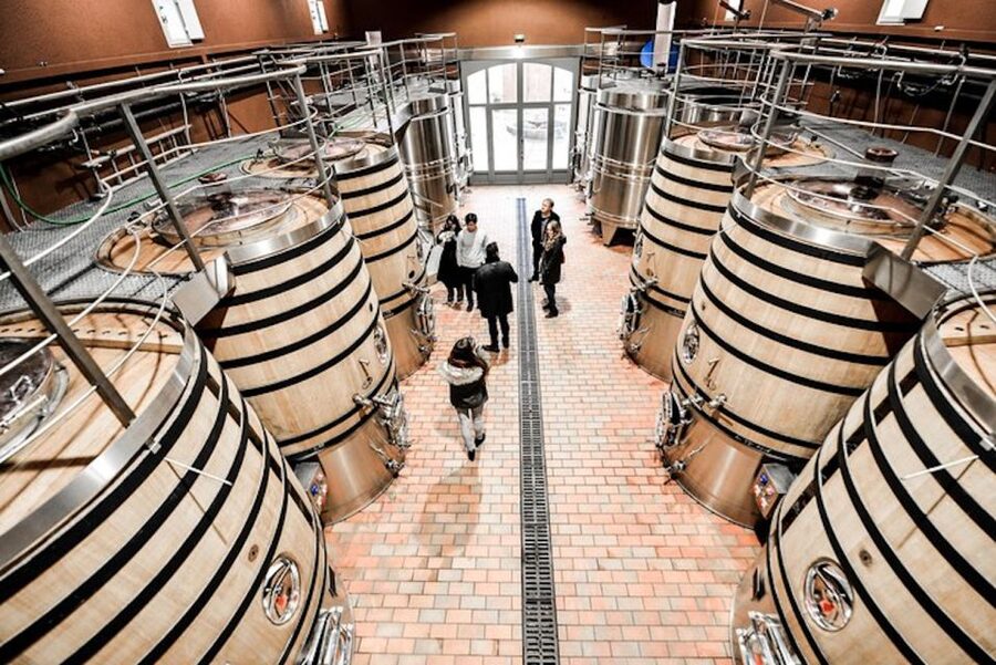 Bordeaux: St-Emilion and Medoc Wine Day Tour with Lunch - Key points at a glance