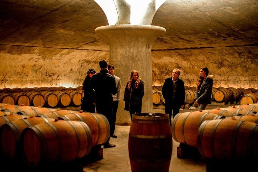 Bordeaux: St-Emilion and Medoc Wine Day Tour with Lunch - Why this tour works for Bordeaux wine country