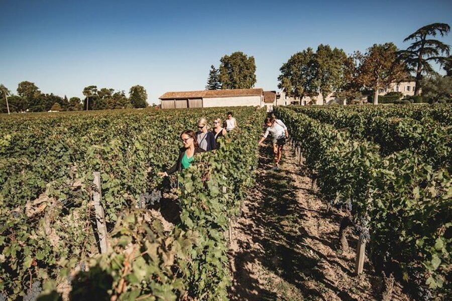 Bordeaux: St-Emilion and Medoc Wine Day Tour with Lunch - What the $230 price buys you