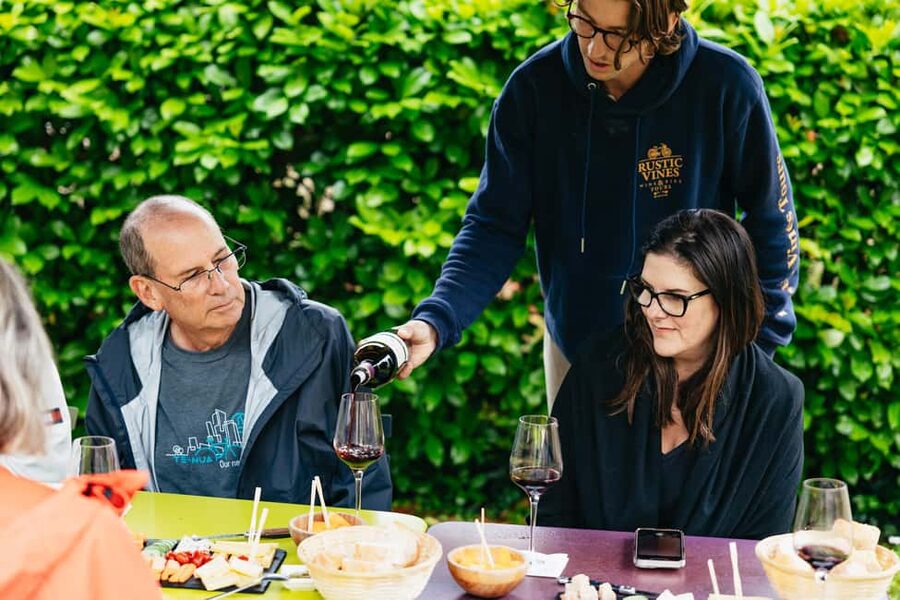 Bordeaux: St. Emilion Day Trip with Wine Tasting and Lunch - A second winery for contrast