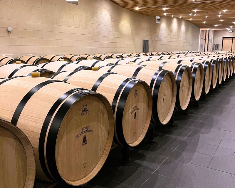 Bordeaux: St-Emilion Vineyards e-Bike Tour with Wine & Lunch - Riding past famous estates near Pomerol and St-Emilion