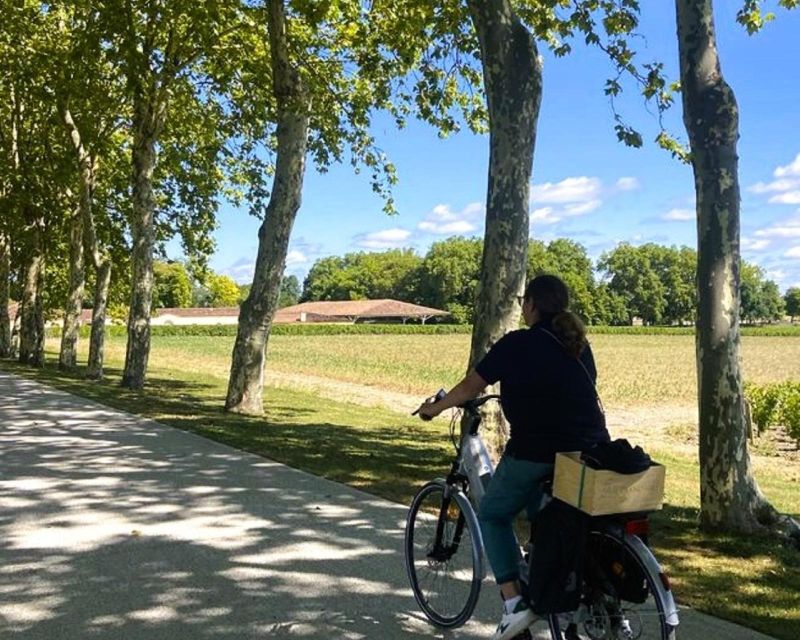 Bordeaux: St-Emilion Vineyards e-Bike Tour with Wine & Lunch - Guide quality makes a real difference