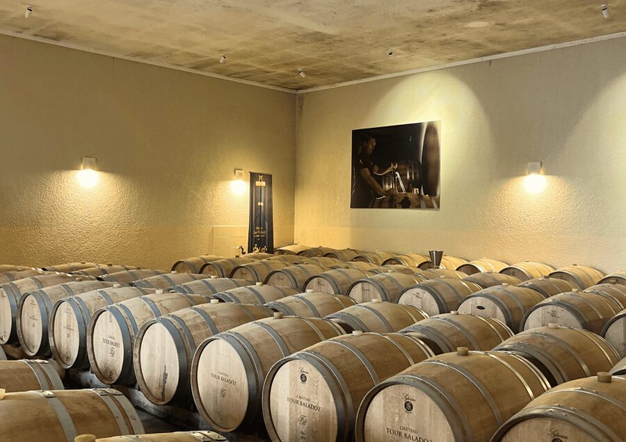 Bordeaux : Unforgettable Saint Emilion Half Day Wine Tour - Inside a Grand Cru Classé château