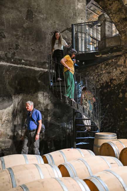 Bordeaux: Vineyards Wine Tasting Half-Day Trip - Médoc: two estates and a sharper look at Bordeaux wine