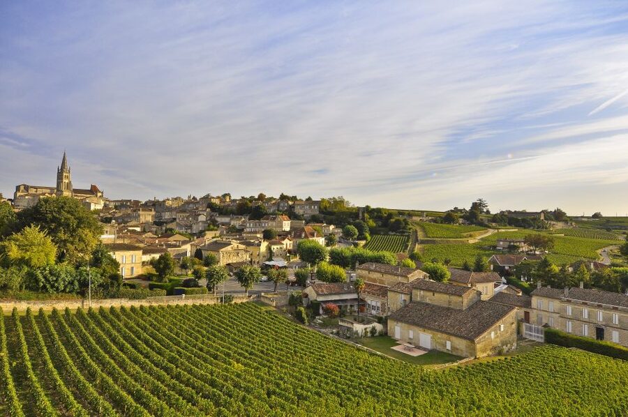Bordeaux: Vineyards Wine Tasting Half-Day Trip - Graves and Sauternais: two styles in one afternoon