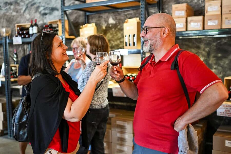 Bordeaux: Vineyards Wine Tasting Half-Day Trip - Entre-deux-Mers: a quieter, more rural route