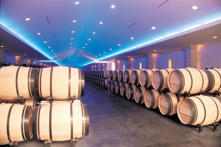 Bordeaux: Vineyards Wine Tasting Half-Day Trip - What the tastings are really like