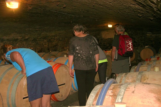Burgundy Bike Tour with Wine Tasting from Beaune - Key points to know before you pedal