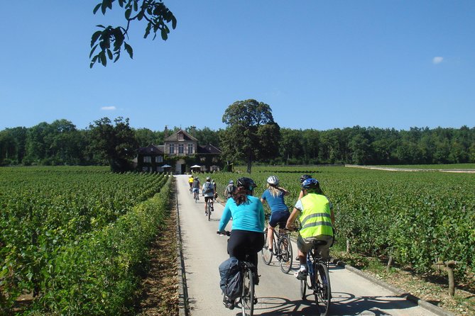 Burgundy Bike Tour with Wine Tasting from Beaune - Lunch near Puligny-Montrachet