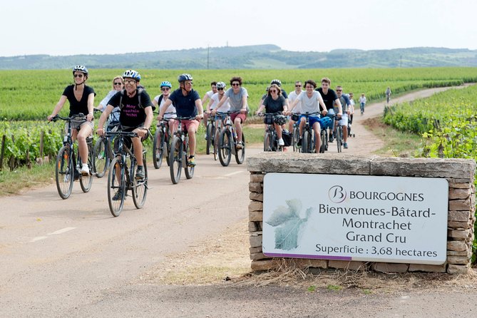 Burgundy Bike Tour with Wine Tasting from Beaune - Riding through Pommard, Volnay, and Meursault