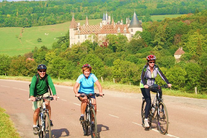 Burgundy Bike Tour with Wine Tasting from Beaune - The e-bike question is the big decision
