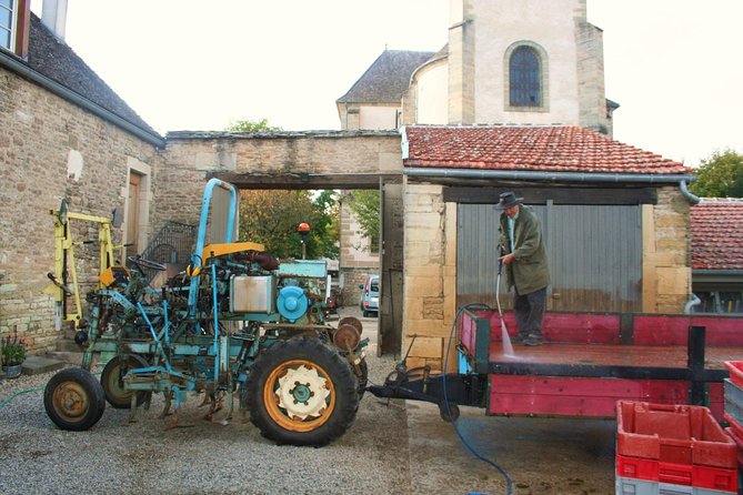Burgundy Bike Tour with Wine Tasting from Beaune - Weather, pace, and practical comfort