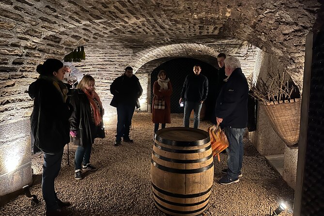Burgundy Grand Crus Route Day Tour - 14 Wines Tastings in Domains - Why this Burgundy wine day works so well