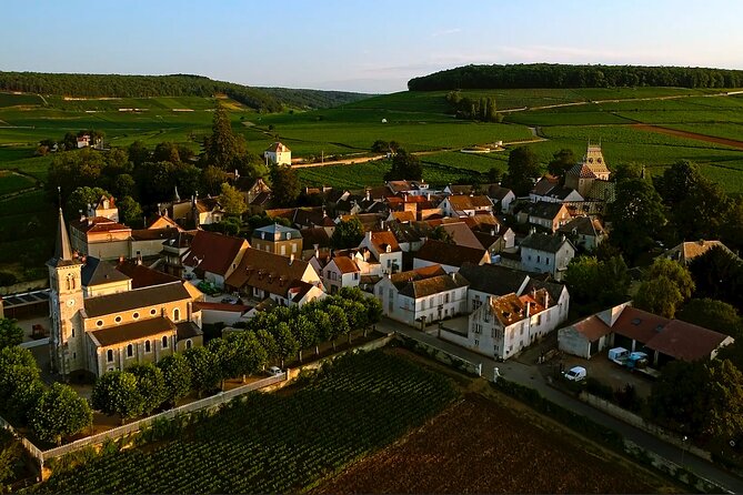 Burgundy Grand Crus Route Day Tour - 14 Wines Tastings in Domains - Finishing in Chambolle-Musigny