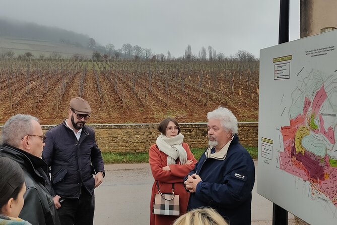 Burgundy Grand Crus Route Day Tour - 14 Wines Tastings in Domains - What the guides add to the day
