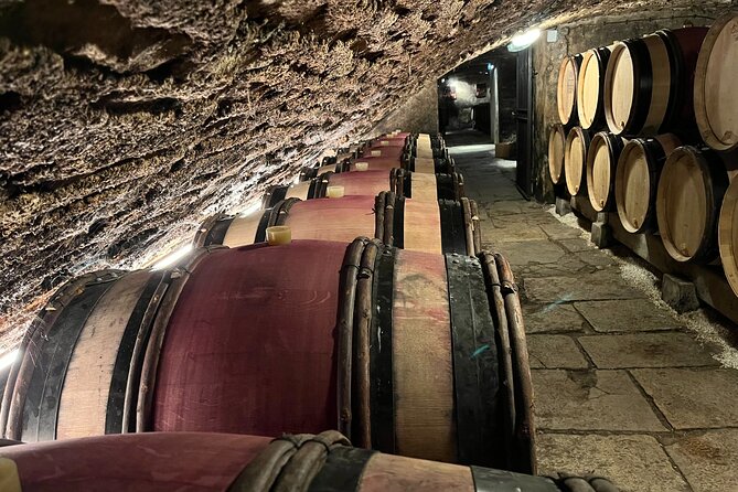 Burgundy Grand Crus Route Day Tour - 14 Wines Tastings in Domains - Starting in Beaune with a local domaine visit