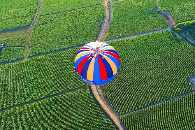 Burgundy Hot-Air Balloon Ride from Beaune - Champagne after landing at Pommard