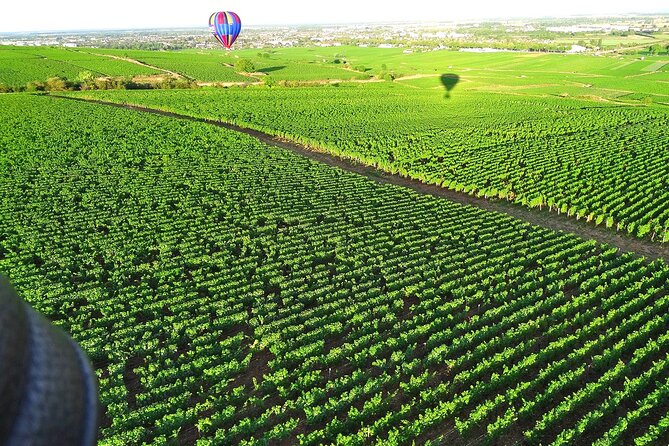 Burgundy Hot-Air Balloon Ride from Beaune - Who should book this Burgundy balloon ride?