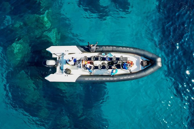 Calanques and red rocks - Departure Saint Raphaël - Swimming and snorkeling in clear water