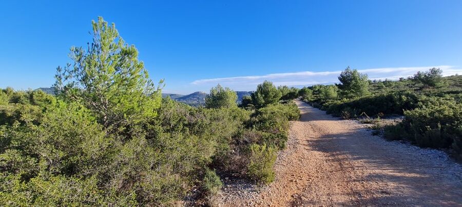 Calanques National Park: E-Mountain Bike with Virtual Guide - Four, six, or eight hours?
