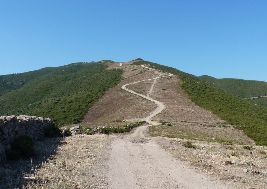 Calvi: Asco Valley 4x4 Day Tour with Guide - From Calvi to the high country