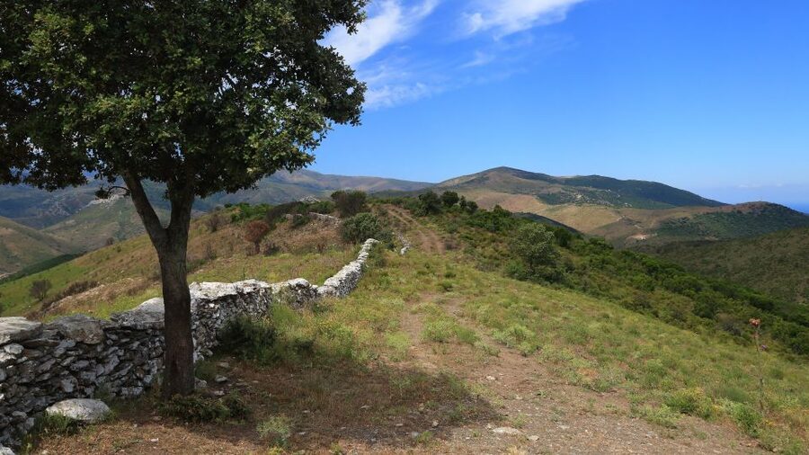 Calvi: Asco Valley 4x4 Day Tour with Guide - Two hours beside the Asco River