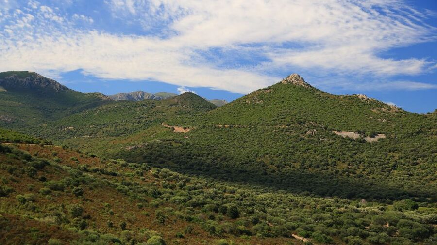 Calvi: Asco Valley 4x4 Day Tour with Guide - What the guide adds to the drive