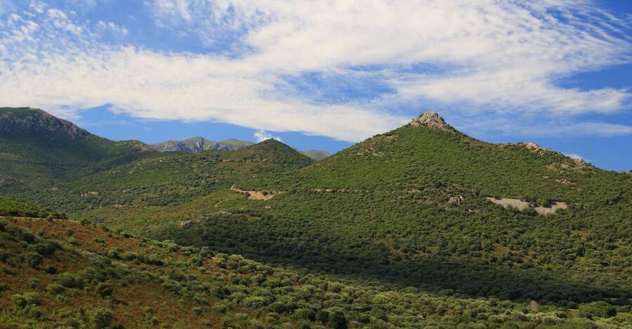 Calvi: Asco Valley 4x4 Day Tour with Guide - Granite gorges and mountain river views