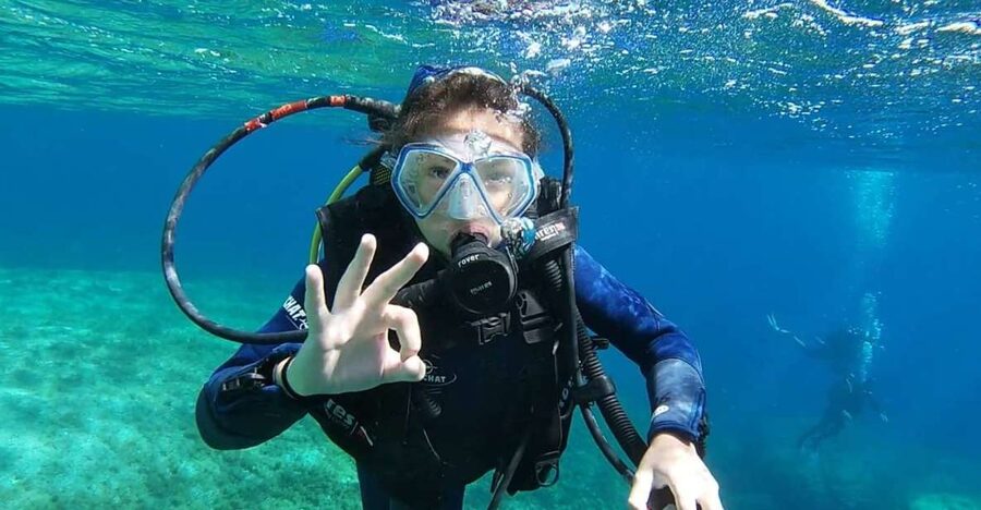 Calvi: Introduction to Diving Dive with an Instructor - Meeting the team at Hippocampe Plongée Calvi